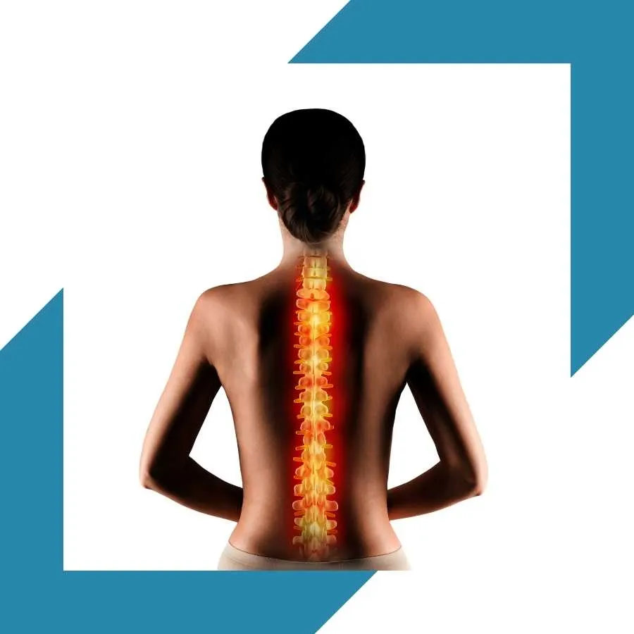 Highlighted spine illustrating back pain or spinal injury