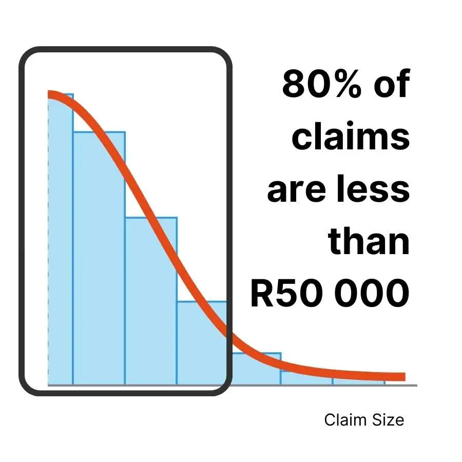 Histogram with a declining curve showing 80% of RAF claims are under R50,000