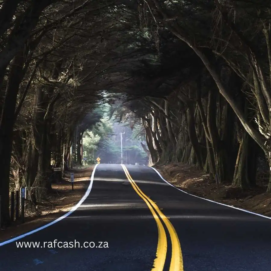 Scenic road through a forest with yellow dividing lines