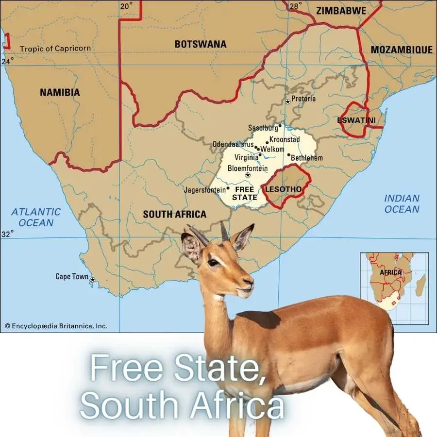 Map of South Africa highlighting the Free State province with an image of a springbok in the foreground